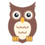 :owl: 🦉