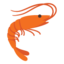 🦐 🦐