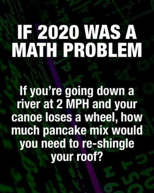 If-2020-was-a-math-problem.jpg
