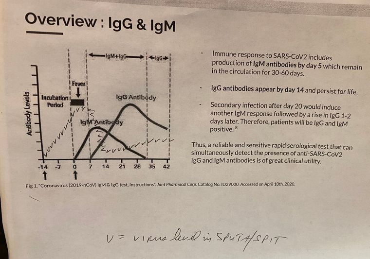 agnone covid chart r.jpg