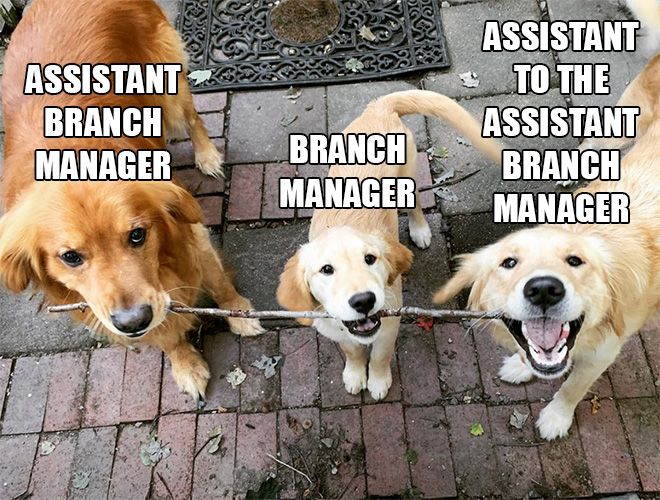 branch-managers9.jpg