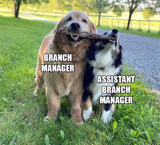 branch-managers11.jpg