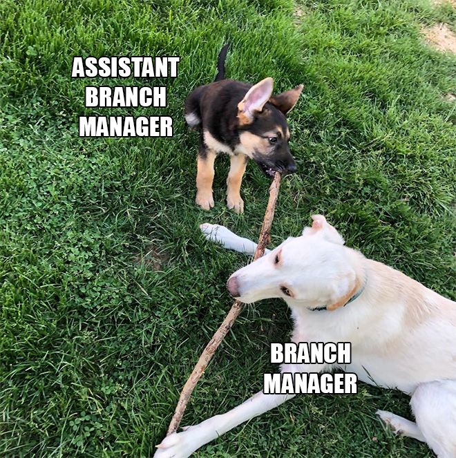 branch-managers12.jpg