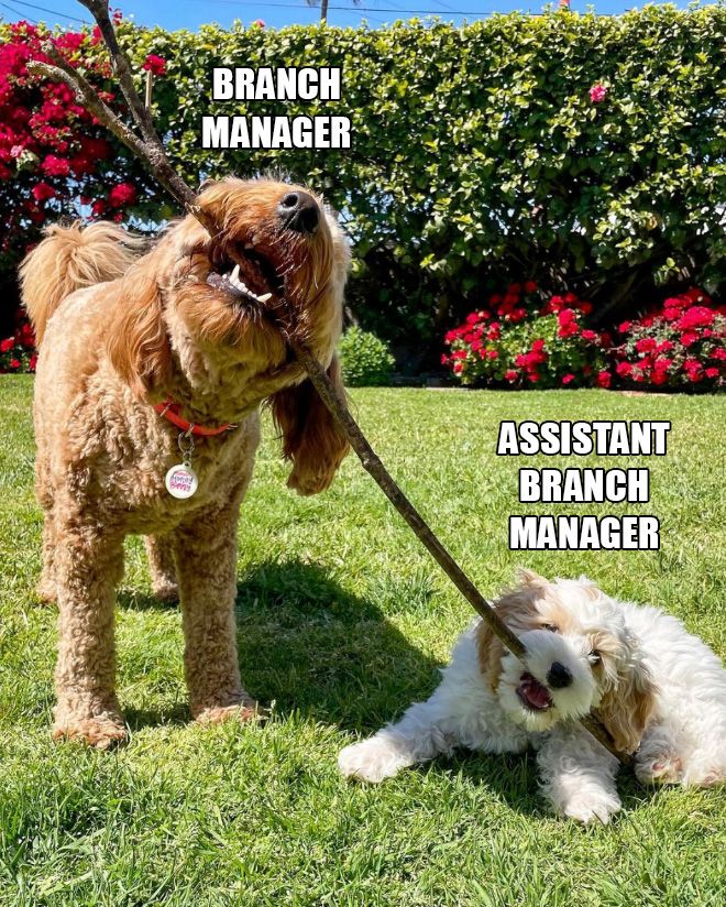 branch-managers14.jpg