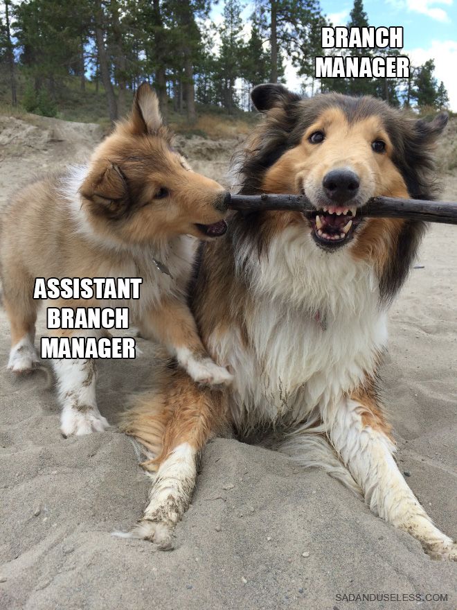 branch-managers1.jpg