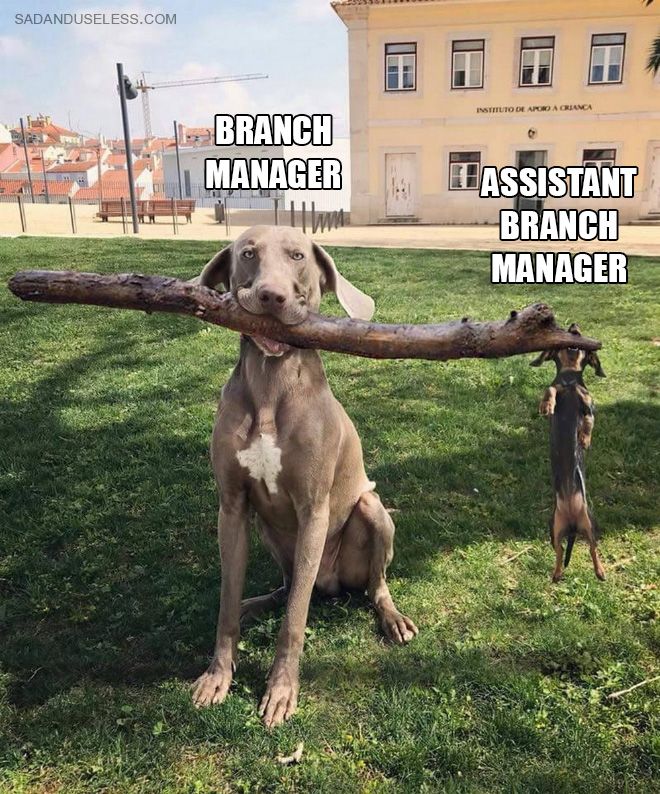 branch-managers2.jpg