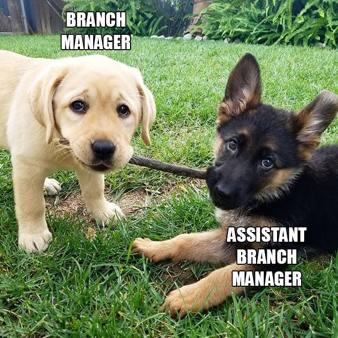 branch-managers4.jpg