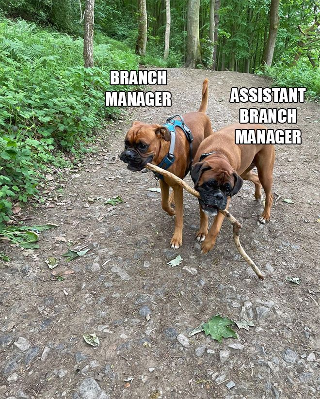 branch-managers7.jpg