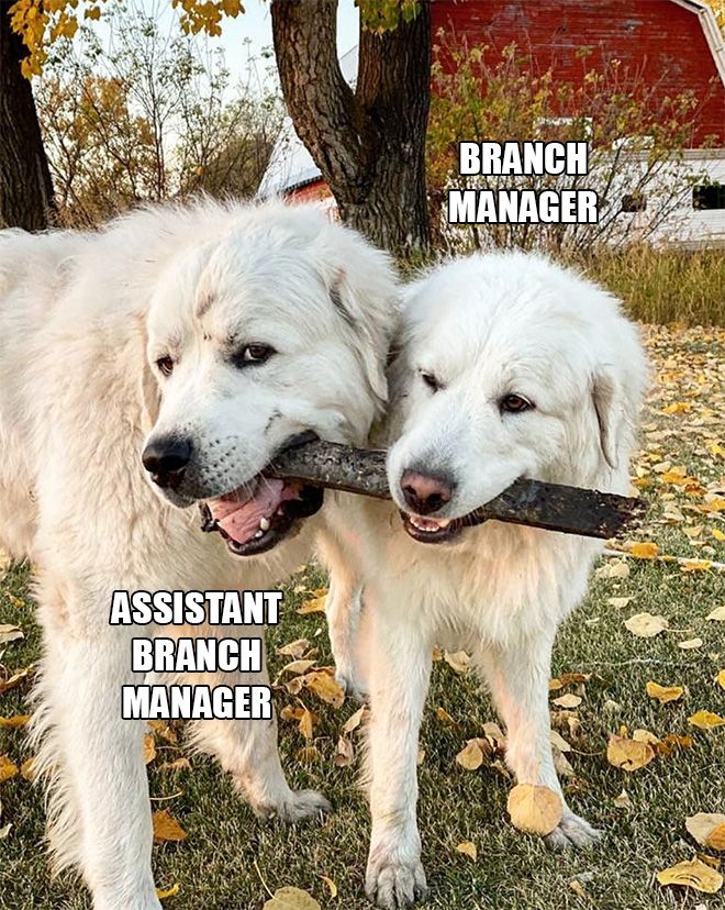 branch-managers8.jpg