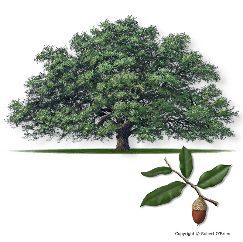 877cf630-d460-4f52-87e8-c049e382c820-image.png