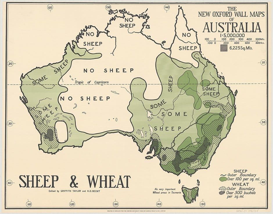sheep in australia.jpg