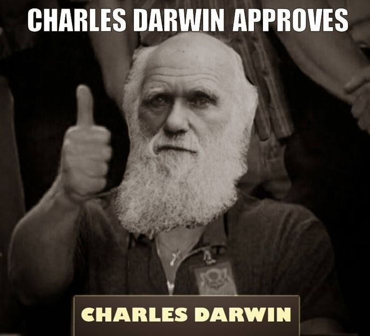 4254D892-0786-4E0F-8B8F-EBCD9FE2D100.jpeg