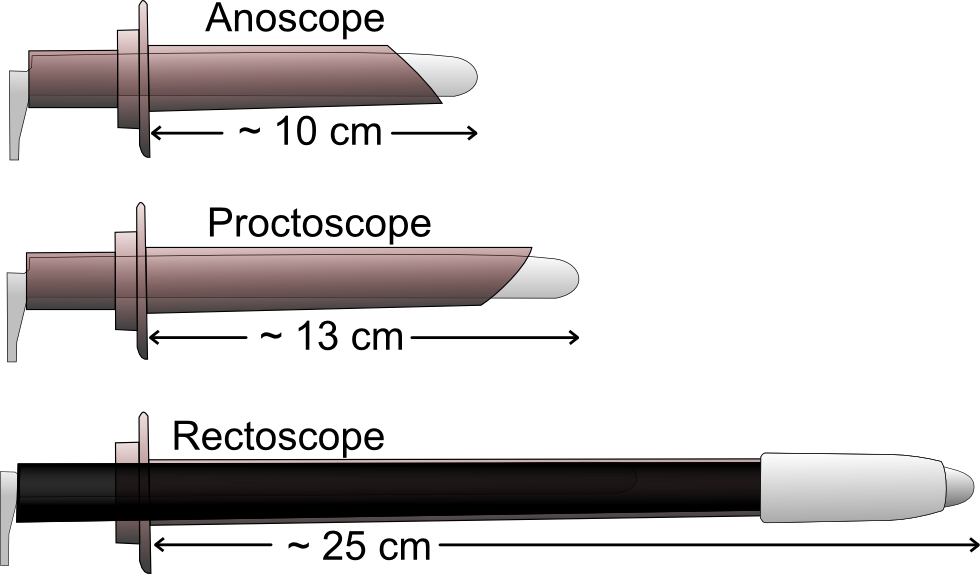 1FC94A65-EA34-4C31-B541-2B1C4EE2A7FC.png