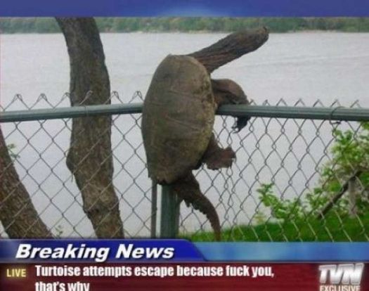 here-are-the-50-best-photos-this-week-20210801-148.jpg