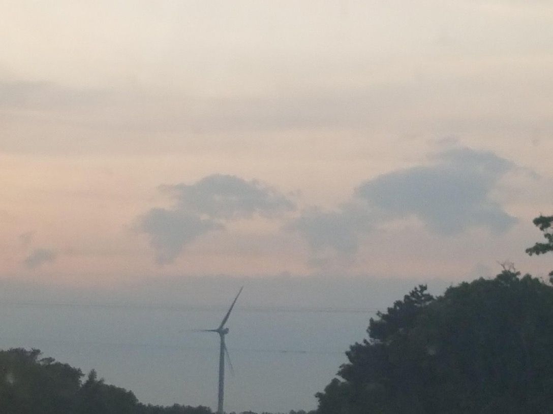 IMG_0037.jpeg