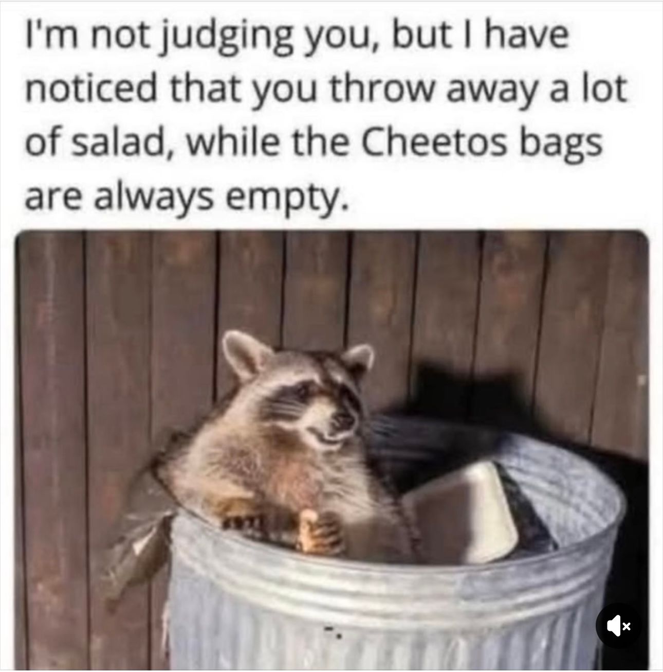 IMG_4869.jpeg