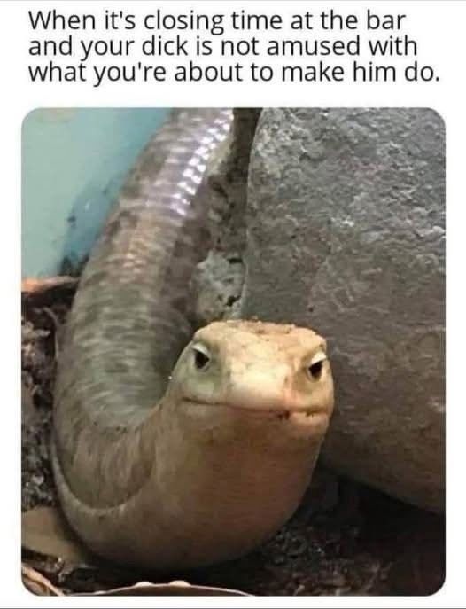 4876349283752613065.jpeg