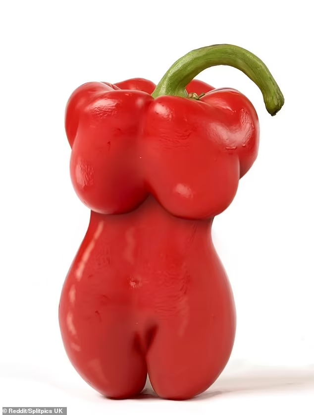 bc9c67b2-ec15-4e8d-9a47-2fe7596990cb-image.png