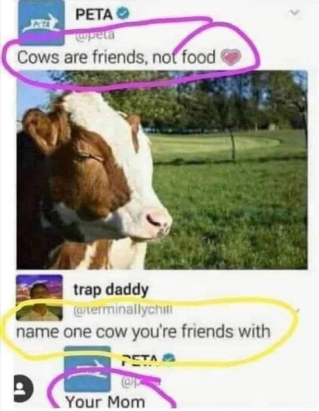 6838535732442725133.jpeg