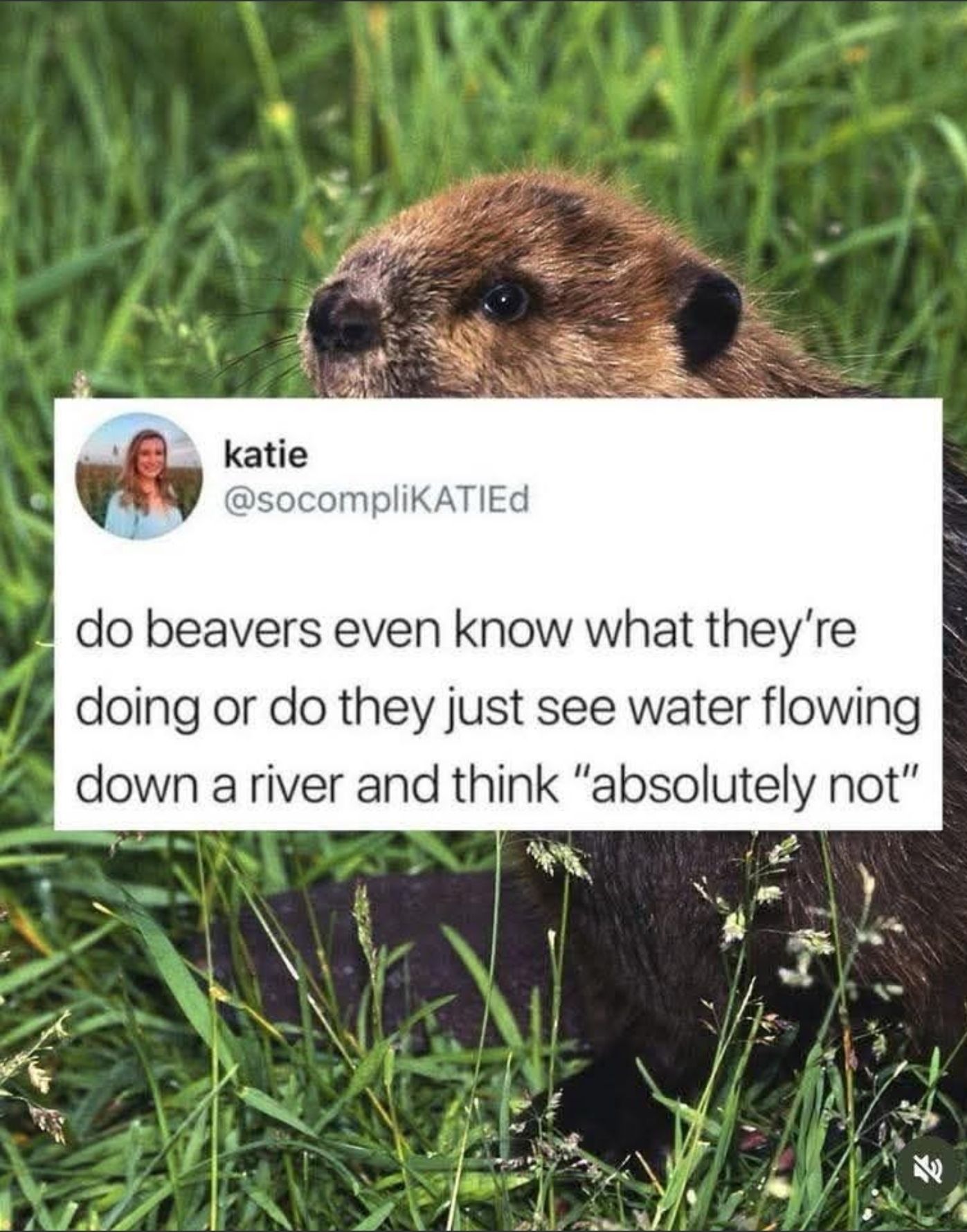 1000005188.jpg