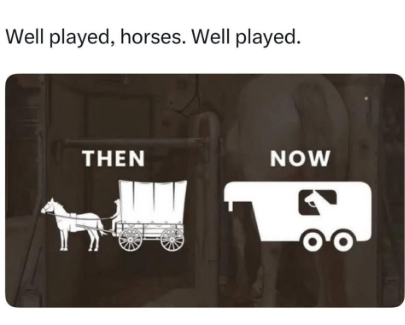 1000005283.jpg