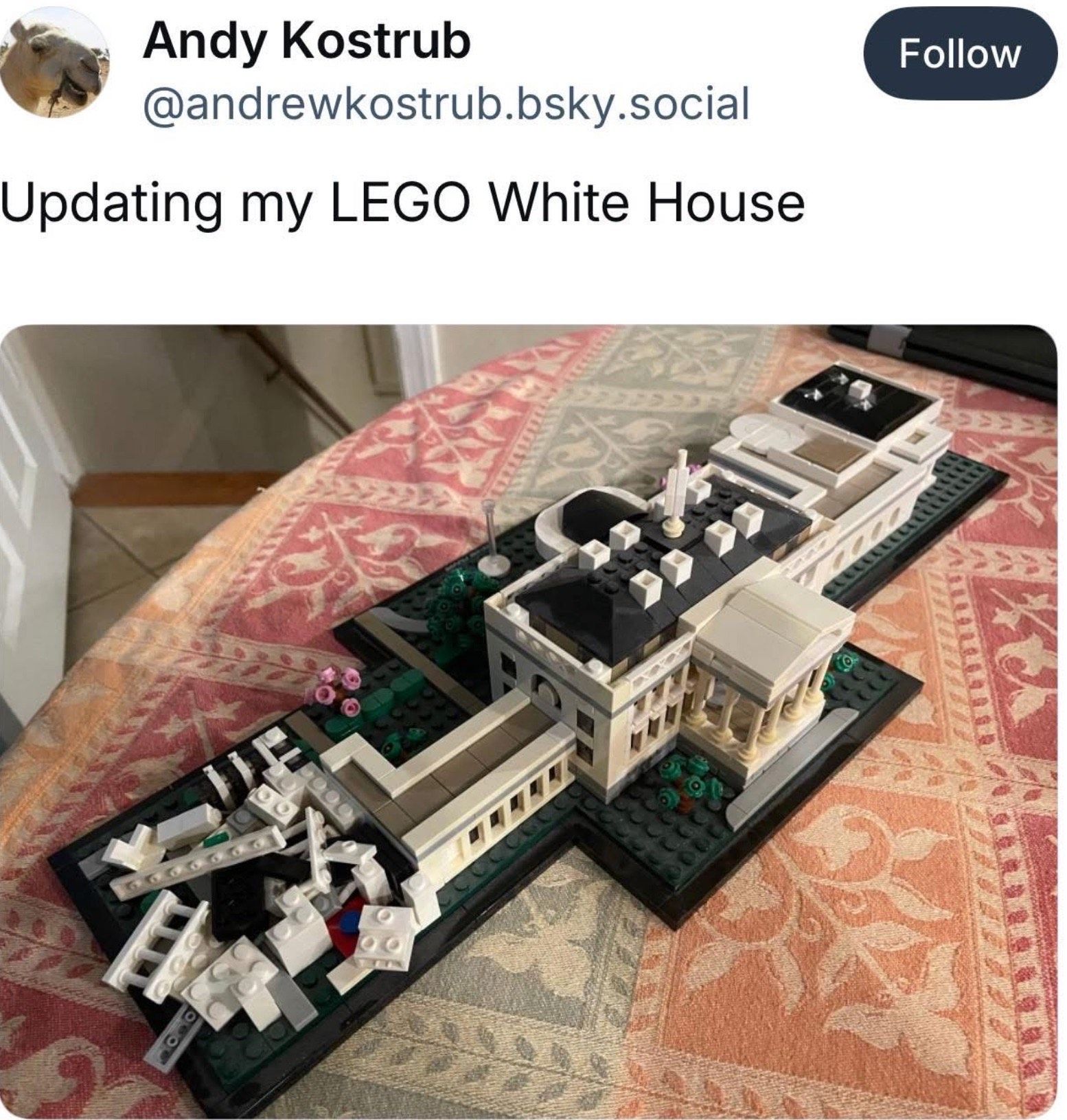 image.jpeg