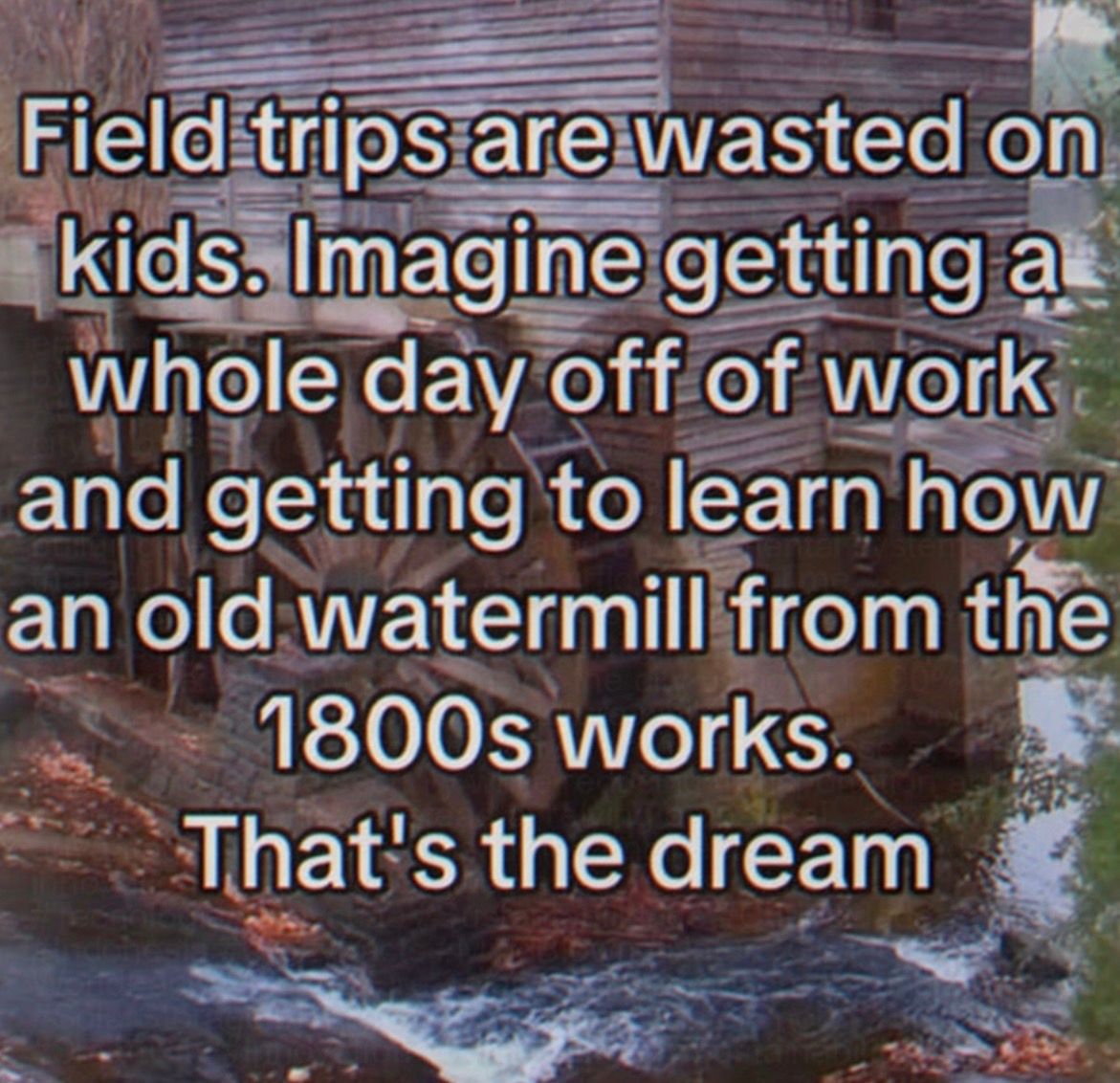 IMG_2558.jpeg