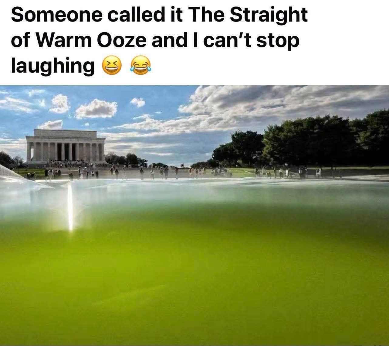 IMG_3004.jpeg